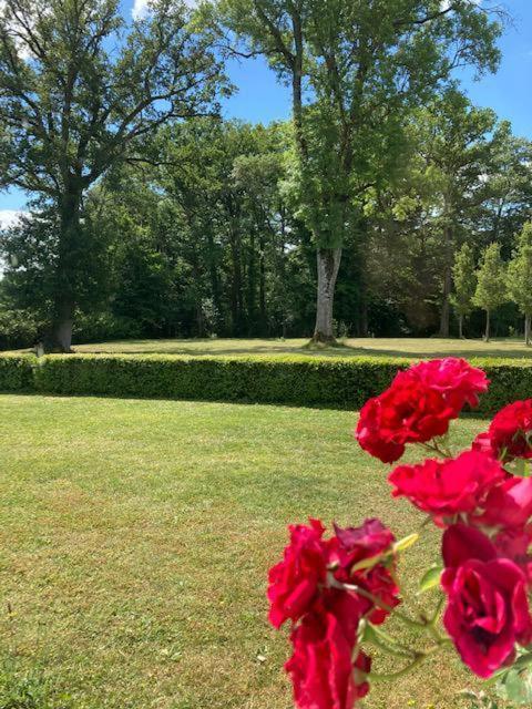 Villa Domaine De La Vaudouriere Lunay Zimmer foto